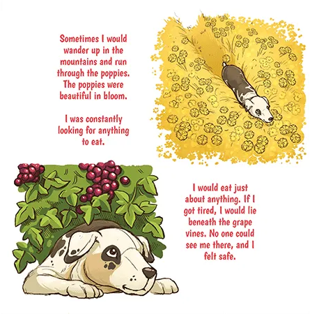 Spot Illustration
